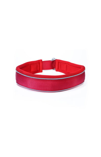 Sport Collar