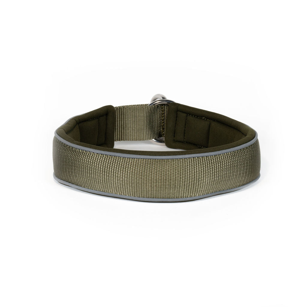 Sport Collar