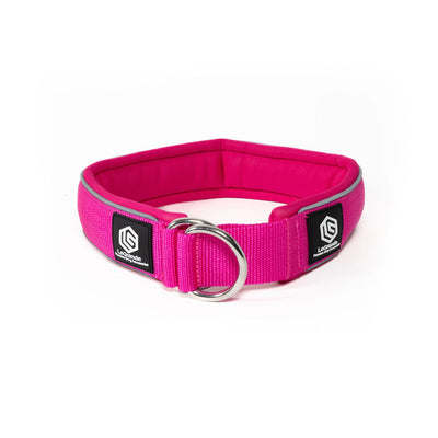 Sport Collar