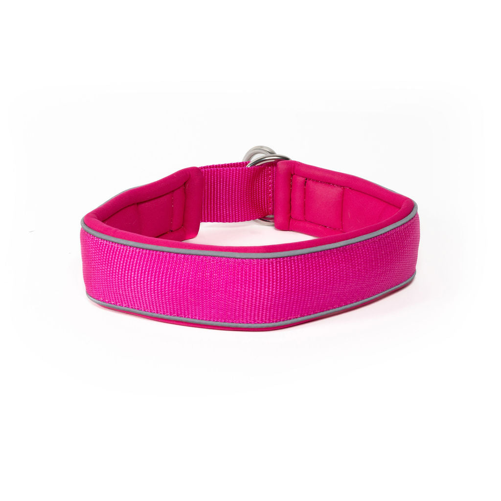 Sport Collar