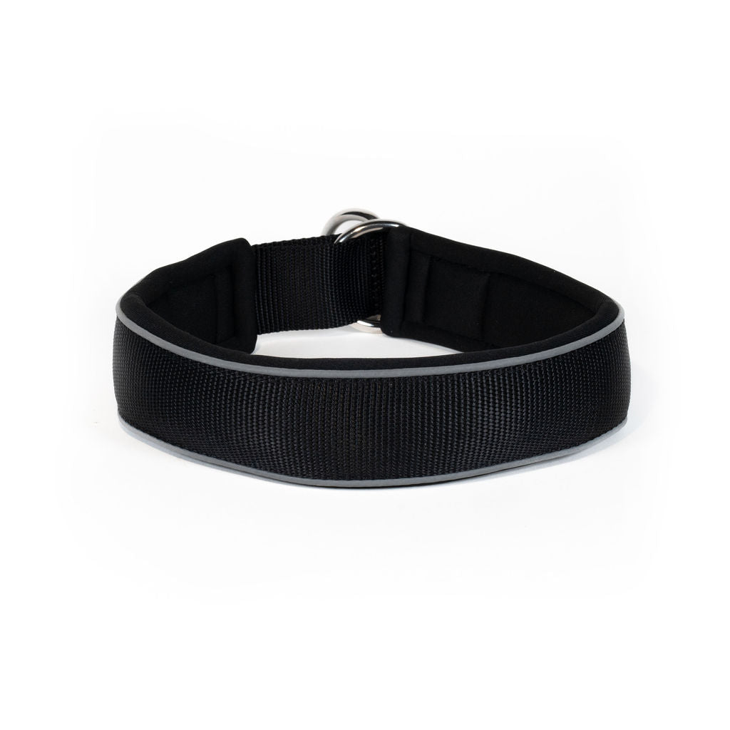 Sport Collar