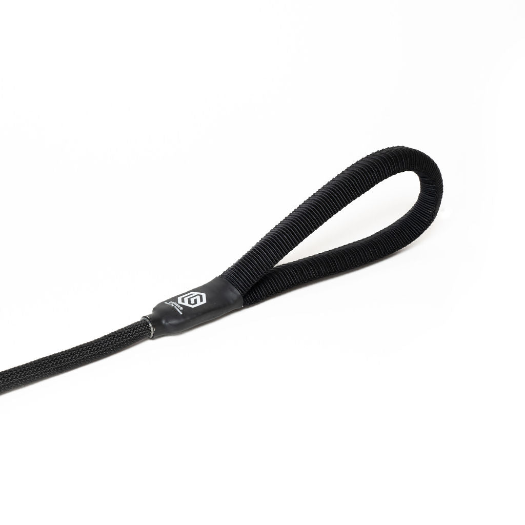 LG Slip Rope Leash