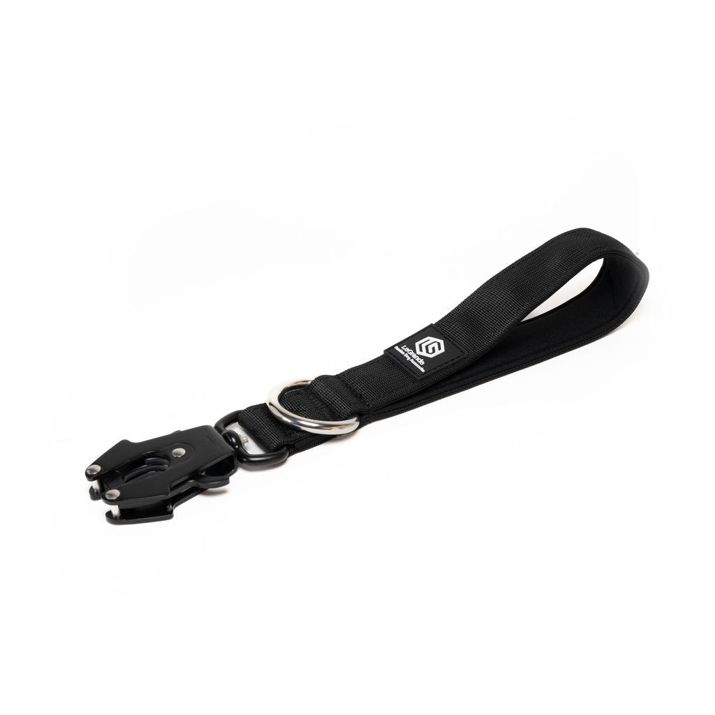 LG Traffic Leash