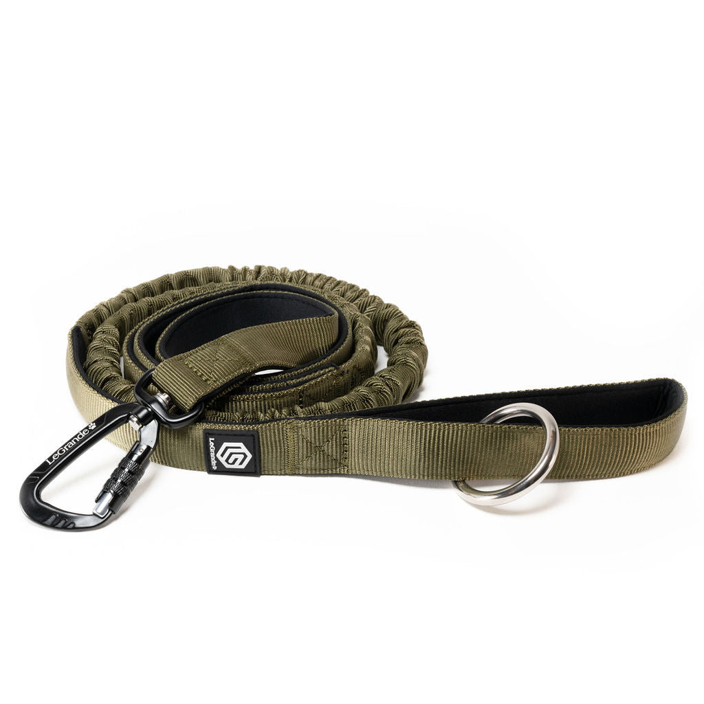 Sport Bungee Leash