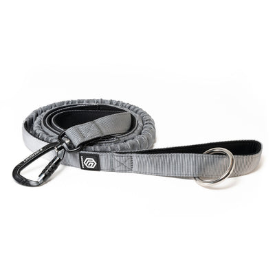 Sport Bungee Leash