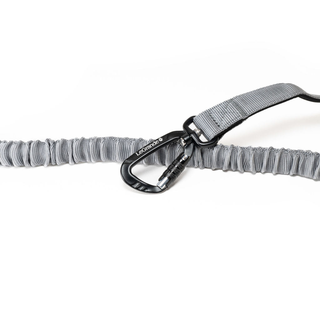 Sport Bungee Leash