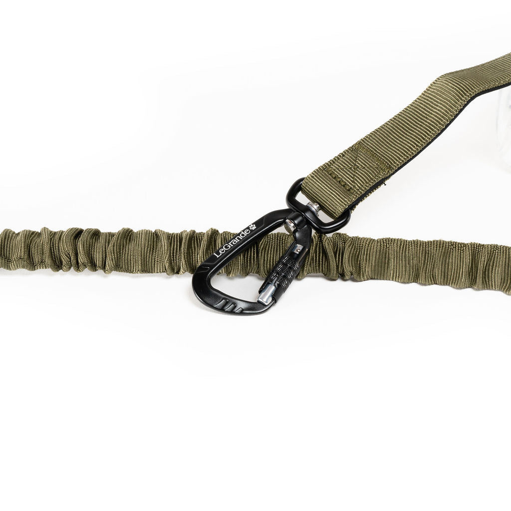 Sport Bungee Leash