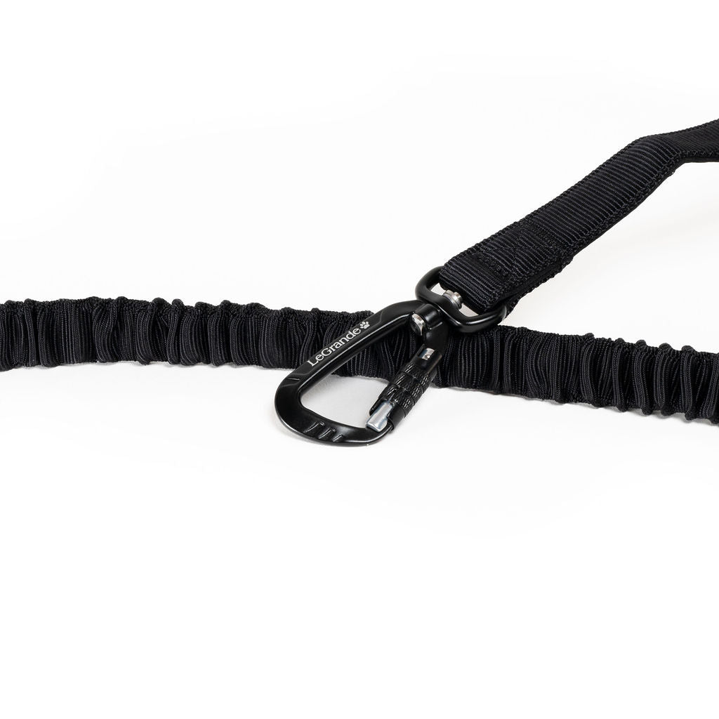 Sport Bungee Leash