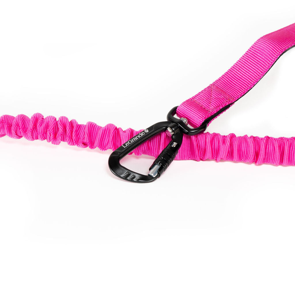 Sport Bungee Leash