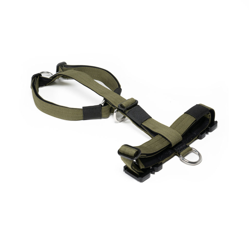 Mini Sport Harness