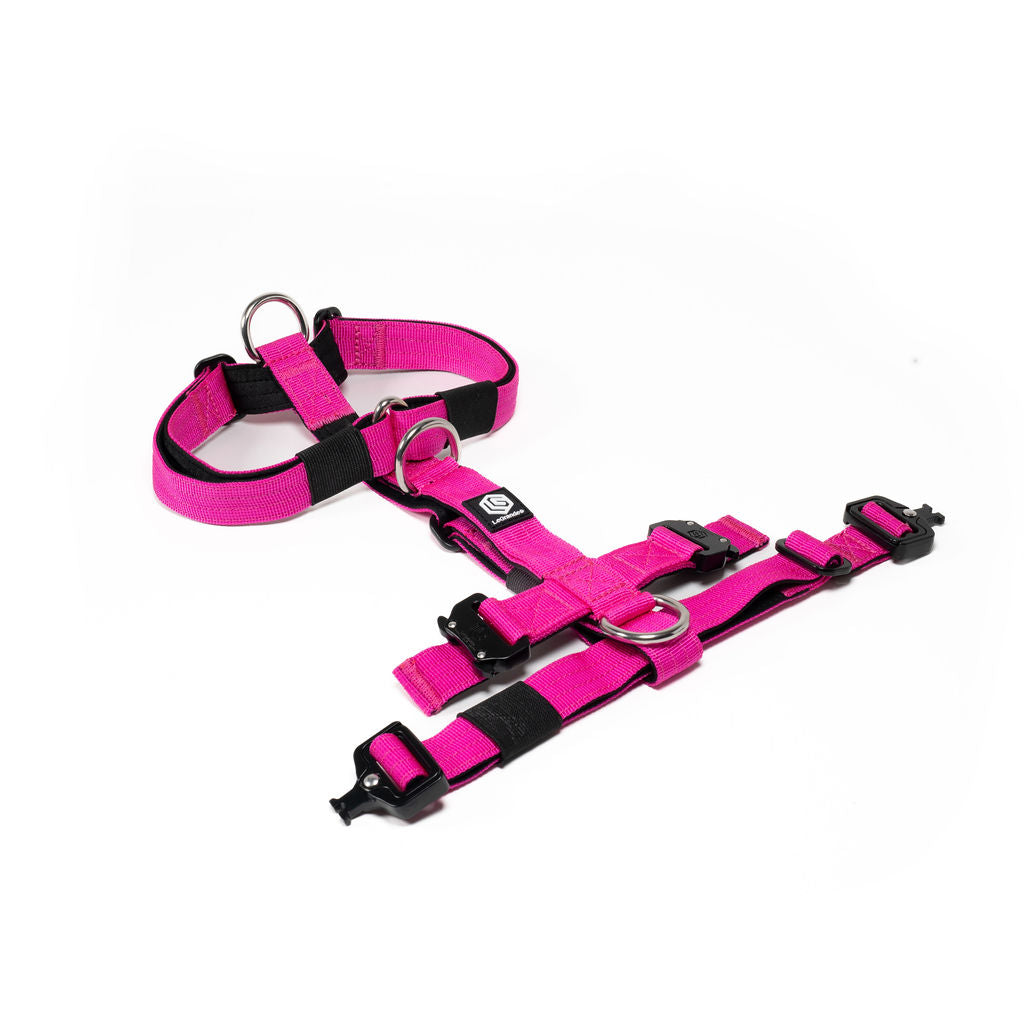 Mini Sport Harness