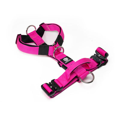 Sport Harness