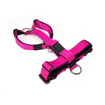 Sport Harness