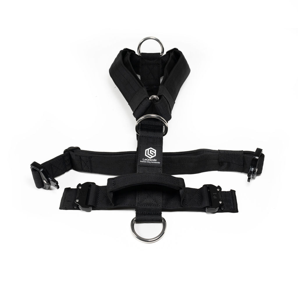 Sport Harness