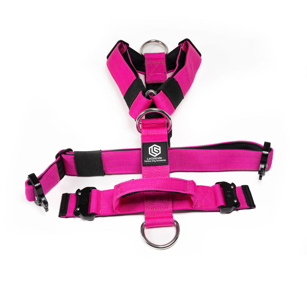 Sport Harness