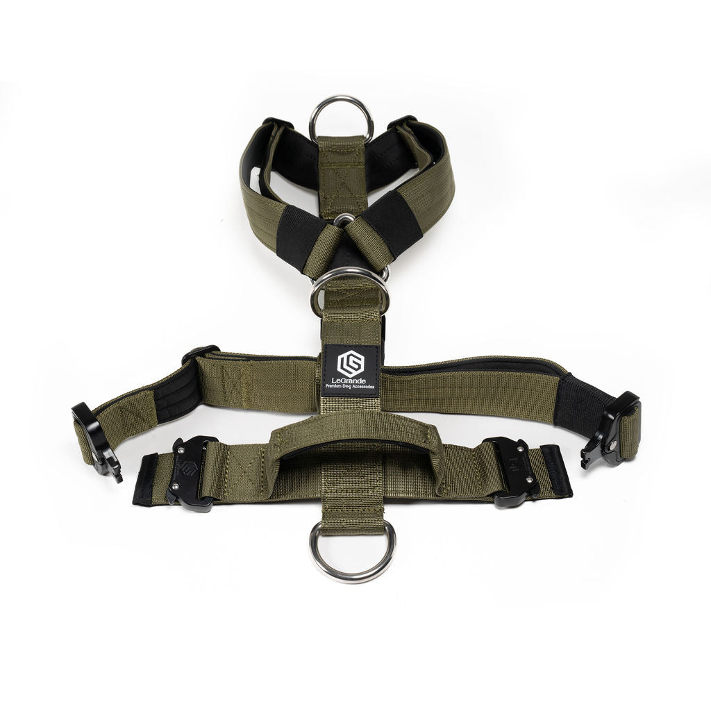 Sport Harness