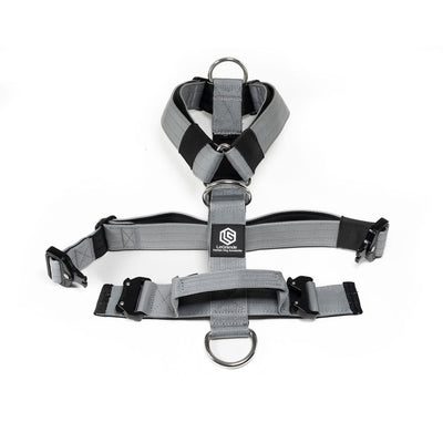 Sport Harness